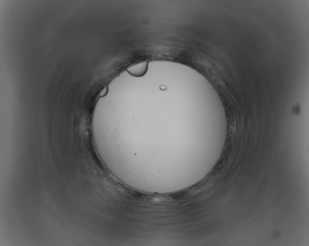 X0000093560663200710150957