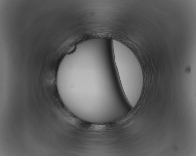 X0000093560665200710150957