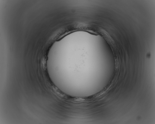 X0000093560669200710150957