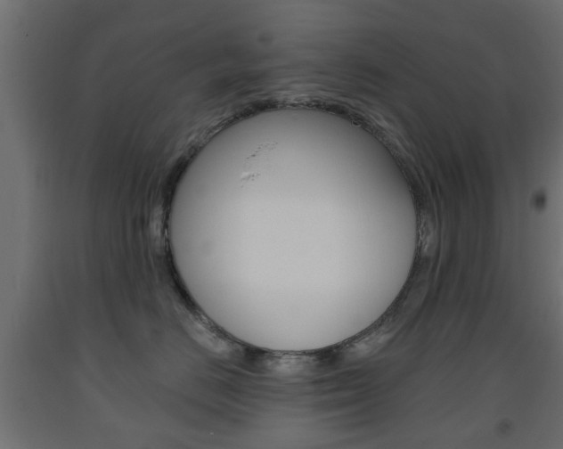 X0000093560670200710150957
