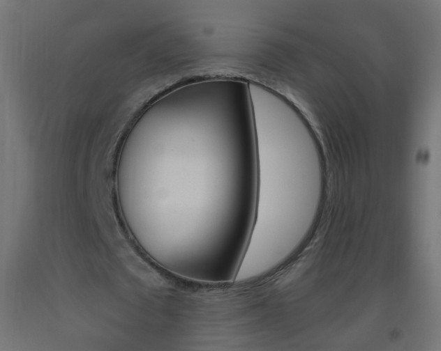 X0000093560673200710150957