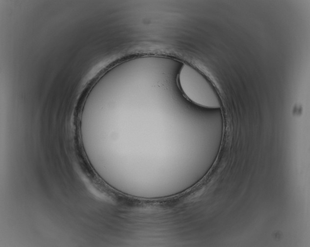 X0000093560674200710150957