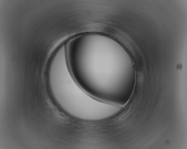 X0000093560676200710150957