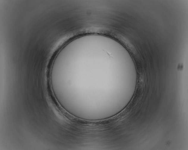 X0000093560678200710150957
