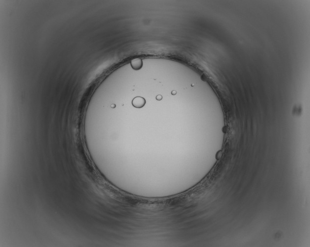 X0000093560679200710150957