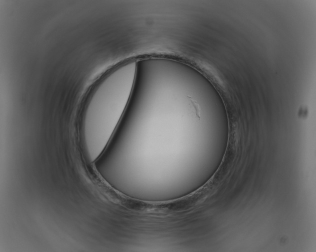 X0000093560680200710150957
