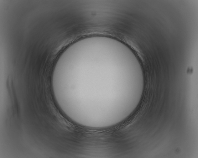 X0000093560681200710150957