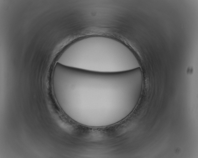 X0000093560682200710150957