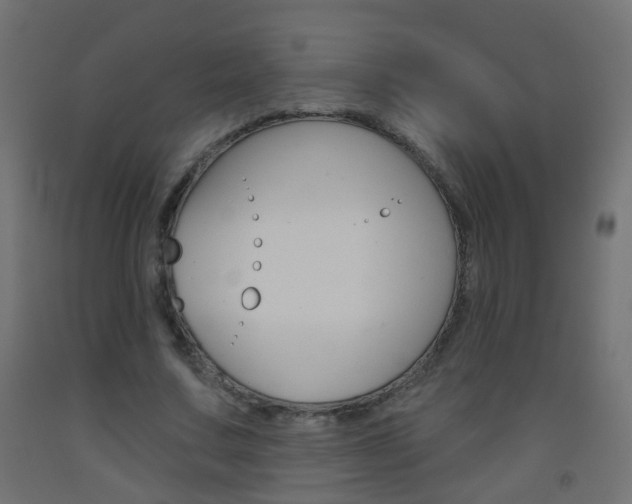 X0000093560683200710150957