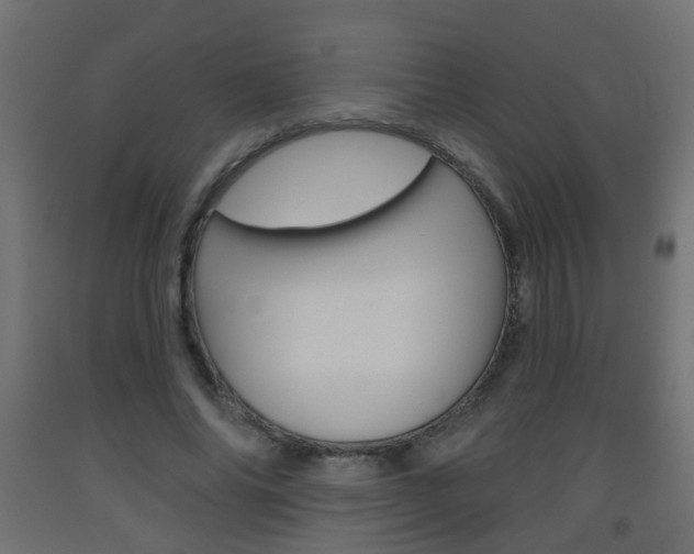X0000093560686200710150957