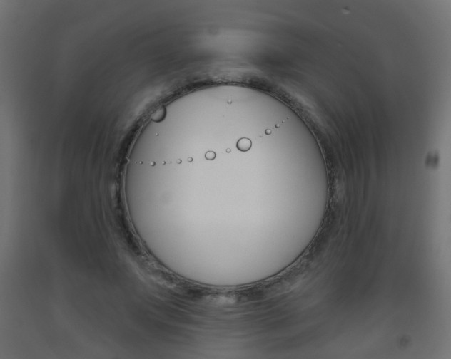 X0000093560687200710150957