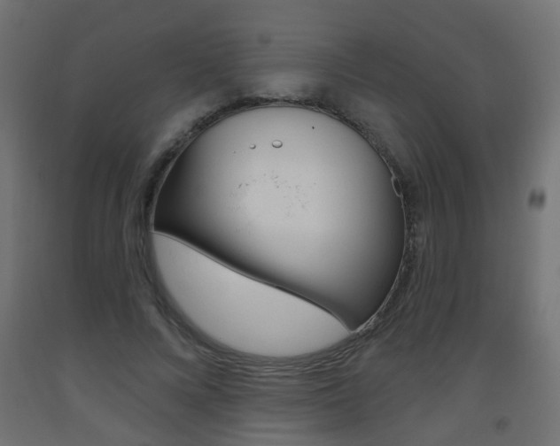 X0000093560688200710150957