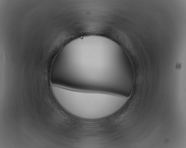 X0000093560689200710150957