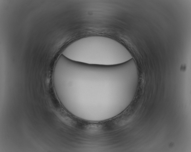 X0000093560691200710150957