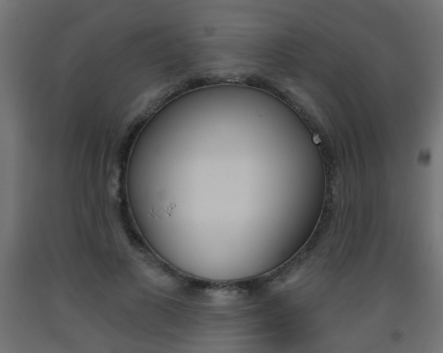 X0000093560693200710150957