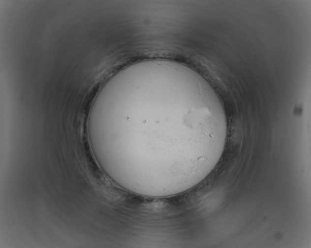 X0000093560695200710150957