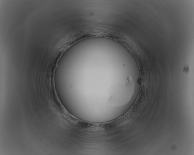 X0000093560696200710150957
