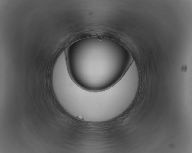 X0000093560697200710150957