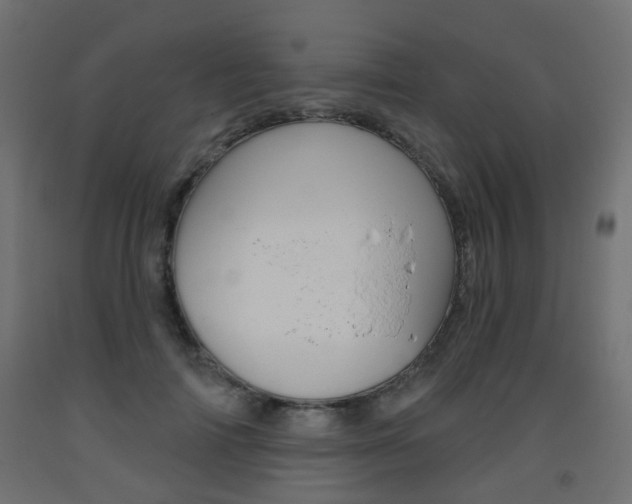 X0000093560698200710150957