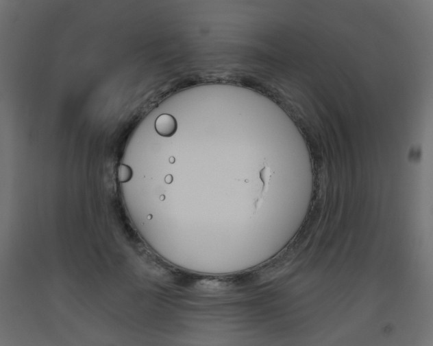 X0000093560699200710150956