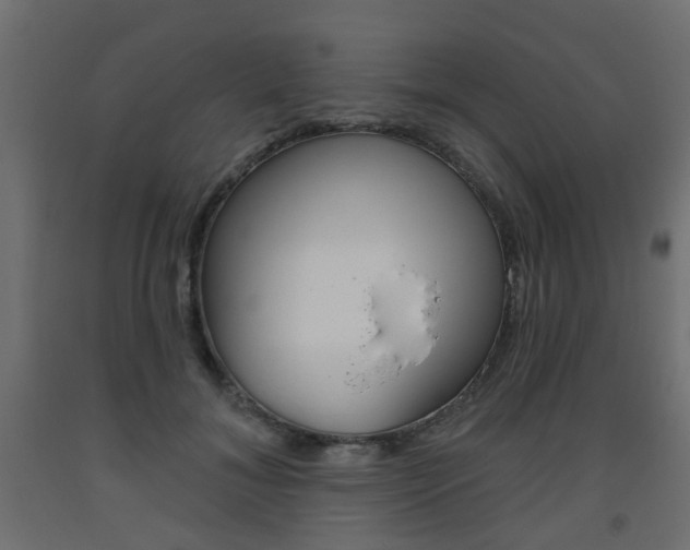 X0000093560700200710150956