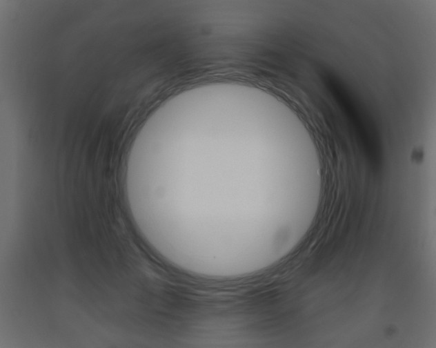 X0000093560701200710150956