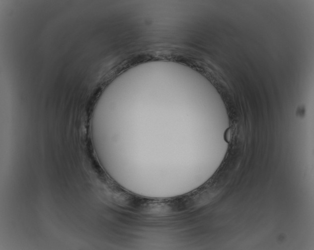 X0000093560702200710150956