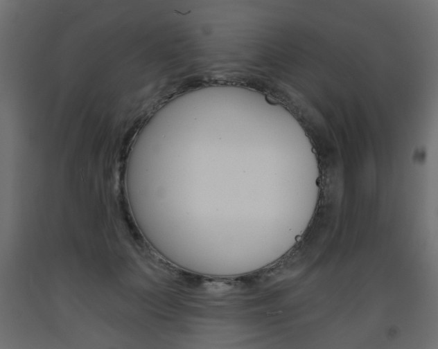 X0000093560703200710150956