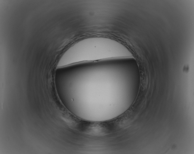 X0000093560704200710150956