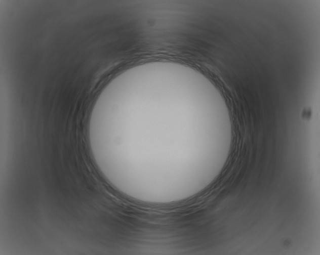 X0000093560705200710150956