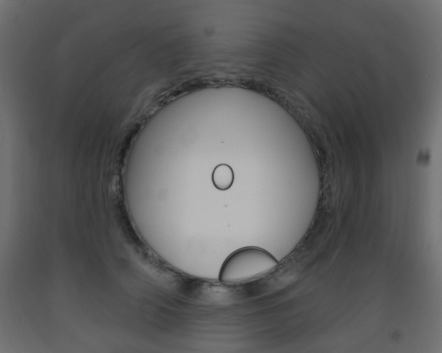 X0000093560706200710150956