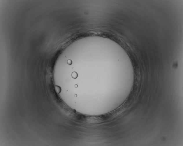 X0000093560707200710150956