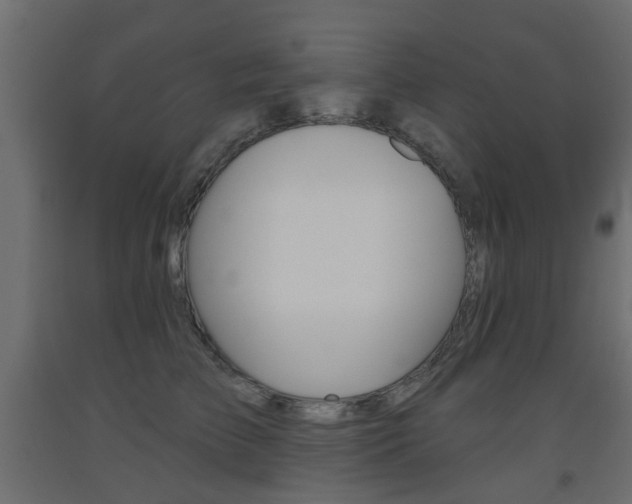 X0000093560709200710150956