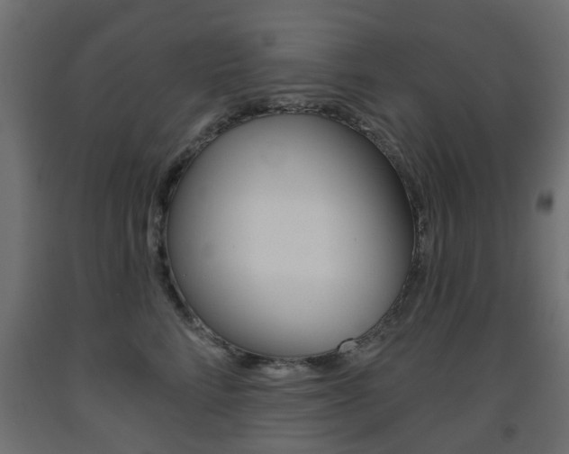 X0000093560712200710150956