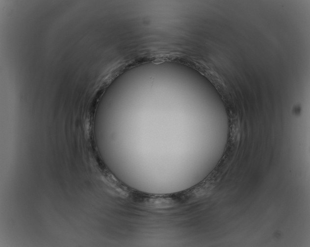 X0000093560716200710150956