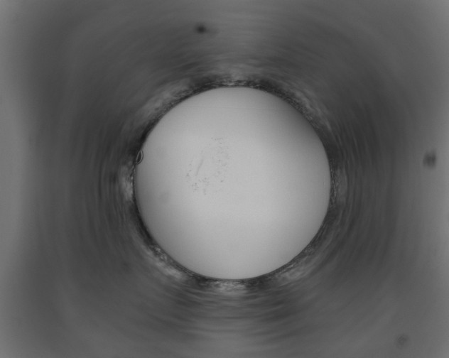 X0000093560719200710150956