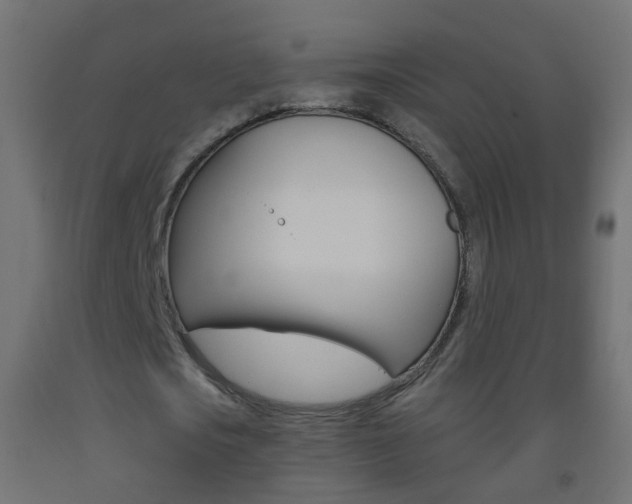 X0000093560721200710150956