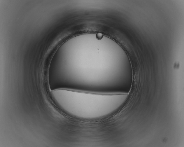 X0000093560722200710150956