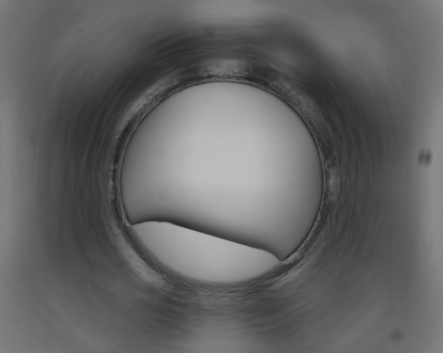 X0000093560725200710150956