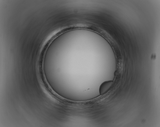 X0000093560726200710150956