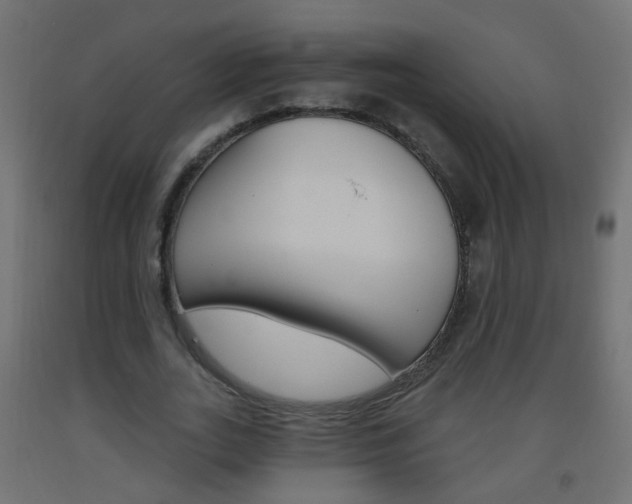 X0000093560727200710150956
