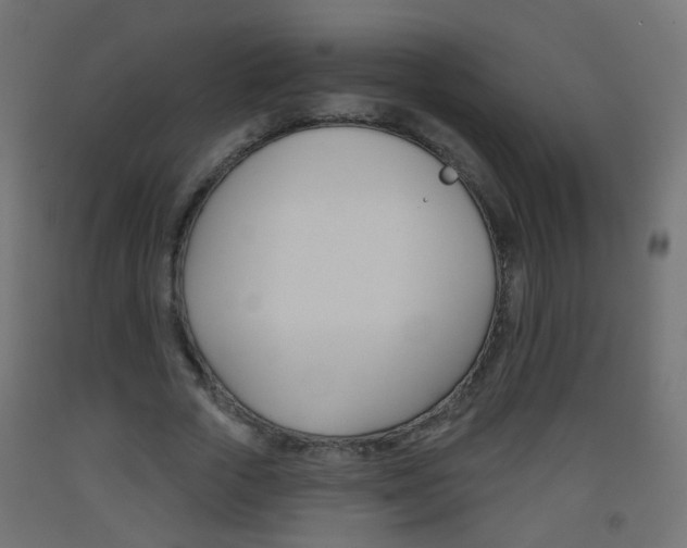 X0000093560729200710150956