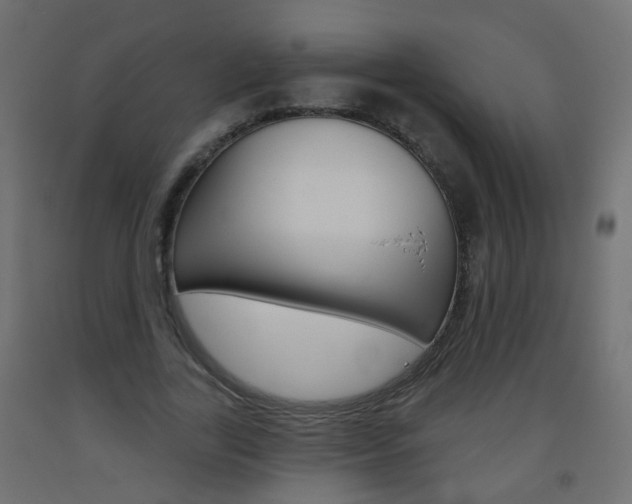 X0000093560731200710150956
