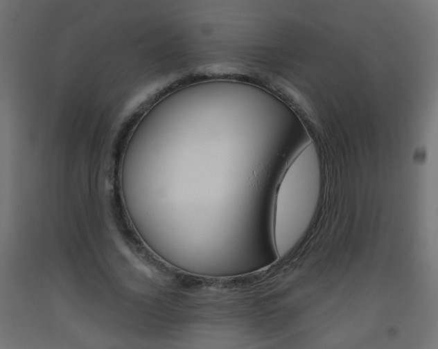 X0000093560732200710150956