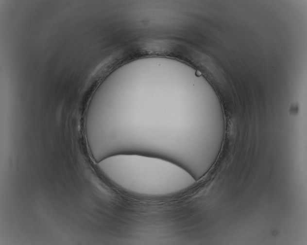 X0000093560733200710150956