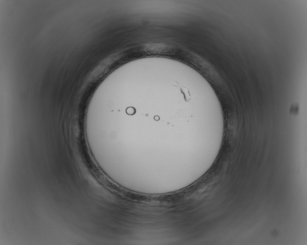 X0000093560734200710150956