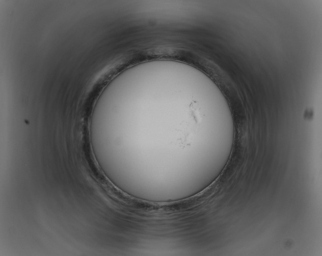 X0000093560735200710150956
