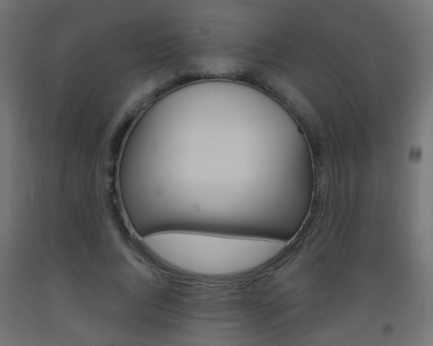 X0000093560736200710150956
