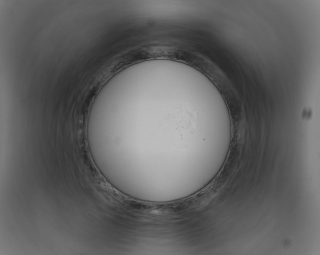 X0000093560737200710150956