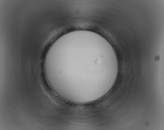 X0000093560738200710150956